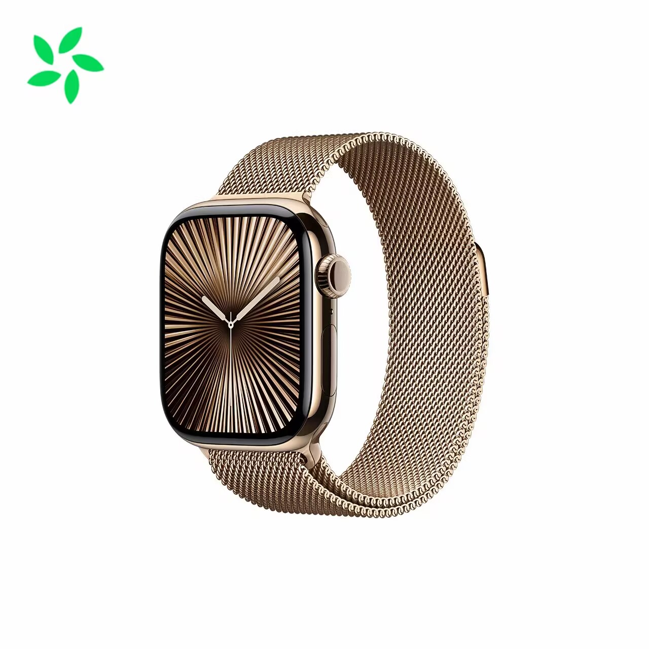 Apple/Apple Apple Watch Series 10; gold titanium case; gold Milanese strap